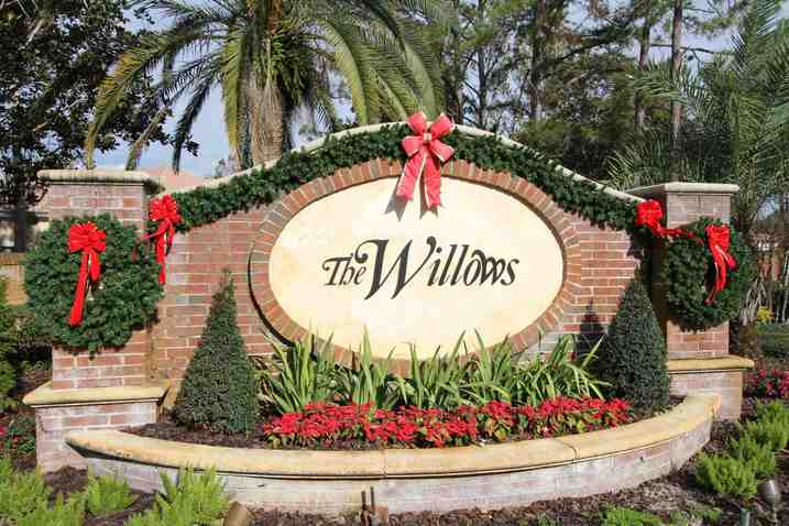 Willows at Lake Rhea, Windermere FLHomes for Sale